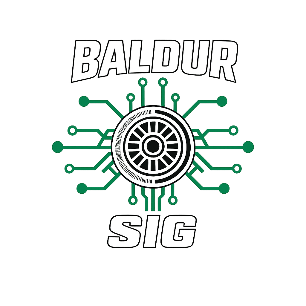Baldur Sig SpA